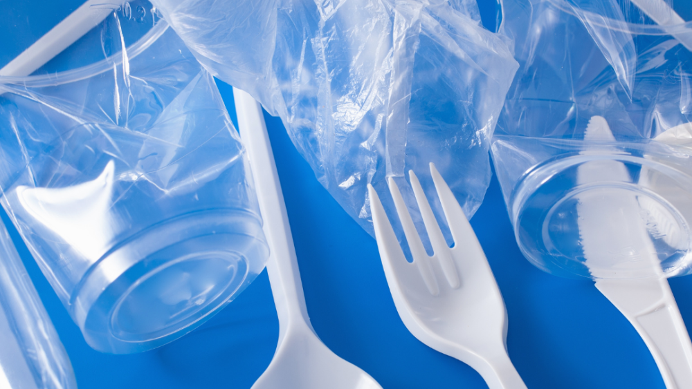 How Plastics and Xenoestrogens Are Wrecking Your Hormones - And What to Do About It
